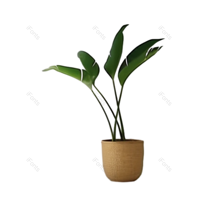 现代图片,白色元素,花盆PNG,窗口免抠素材